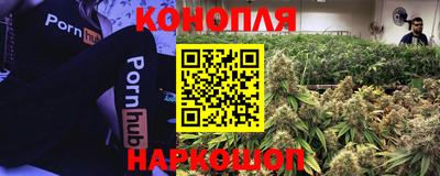 apvp Шебекино